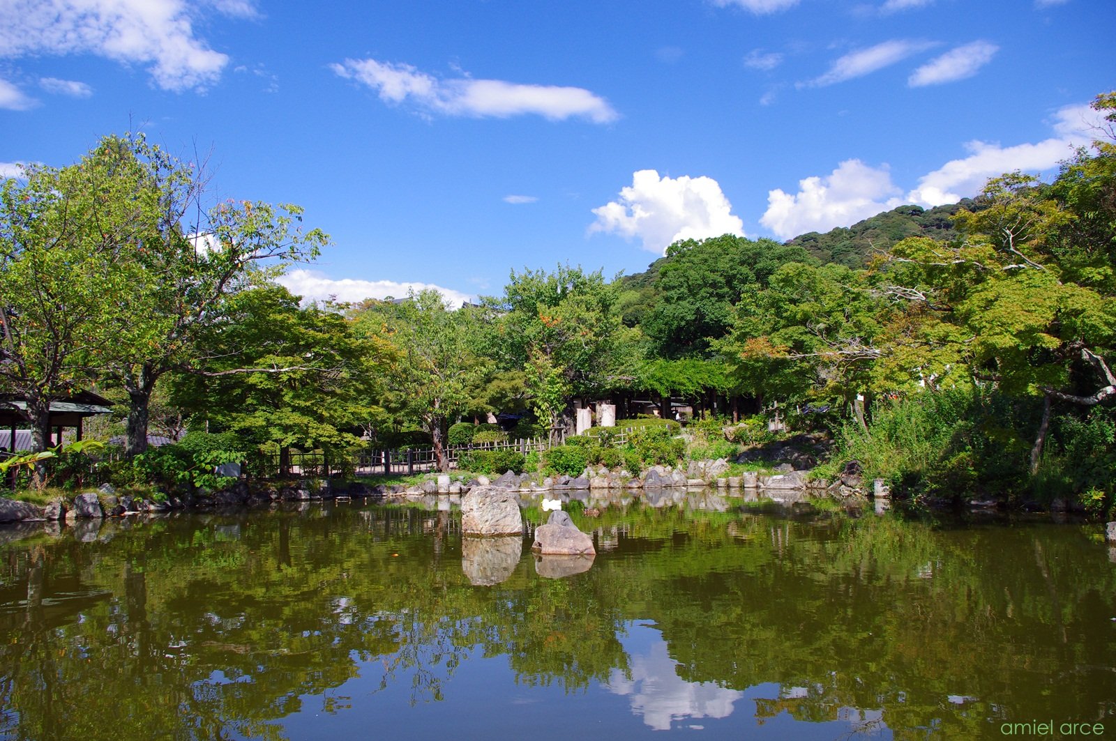 🏞️ 관산 종합공원 (간무리야마 소고 코엔) 이미지 19